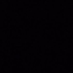 Meet your Posher, Nyla